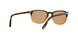 108653 - Havana - Brown