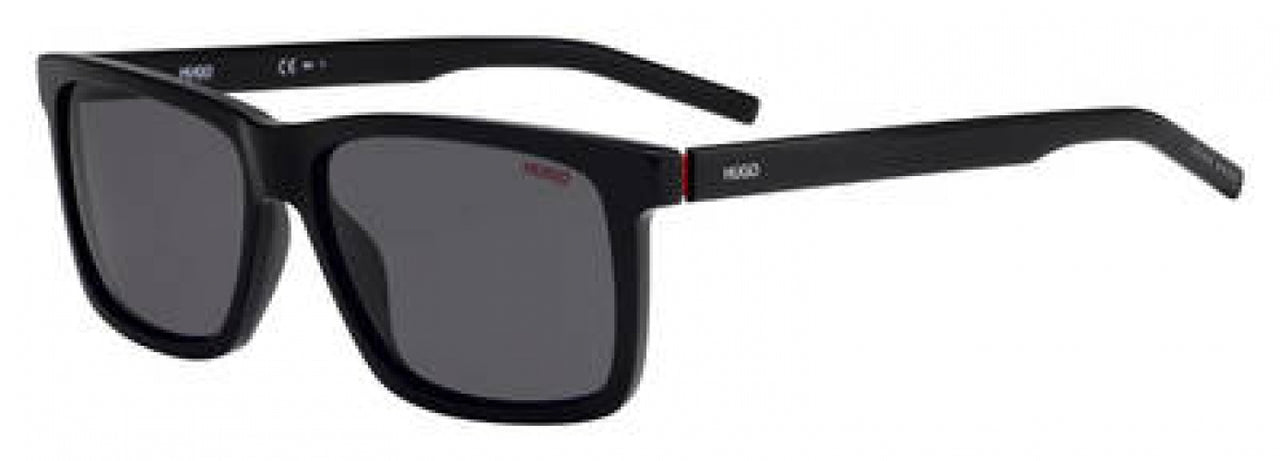 Hugo Hg1013 Sunglasses