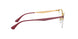3007 - Pink Gold/Matte Bordeau