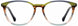 Scott Harris SH636 Eyeglasses