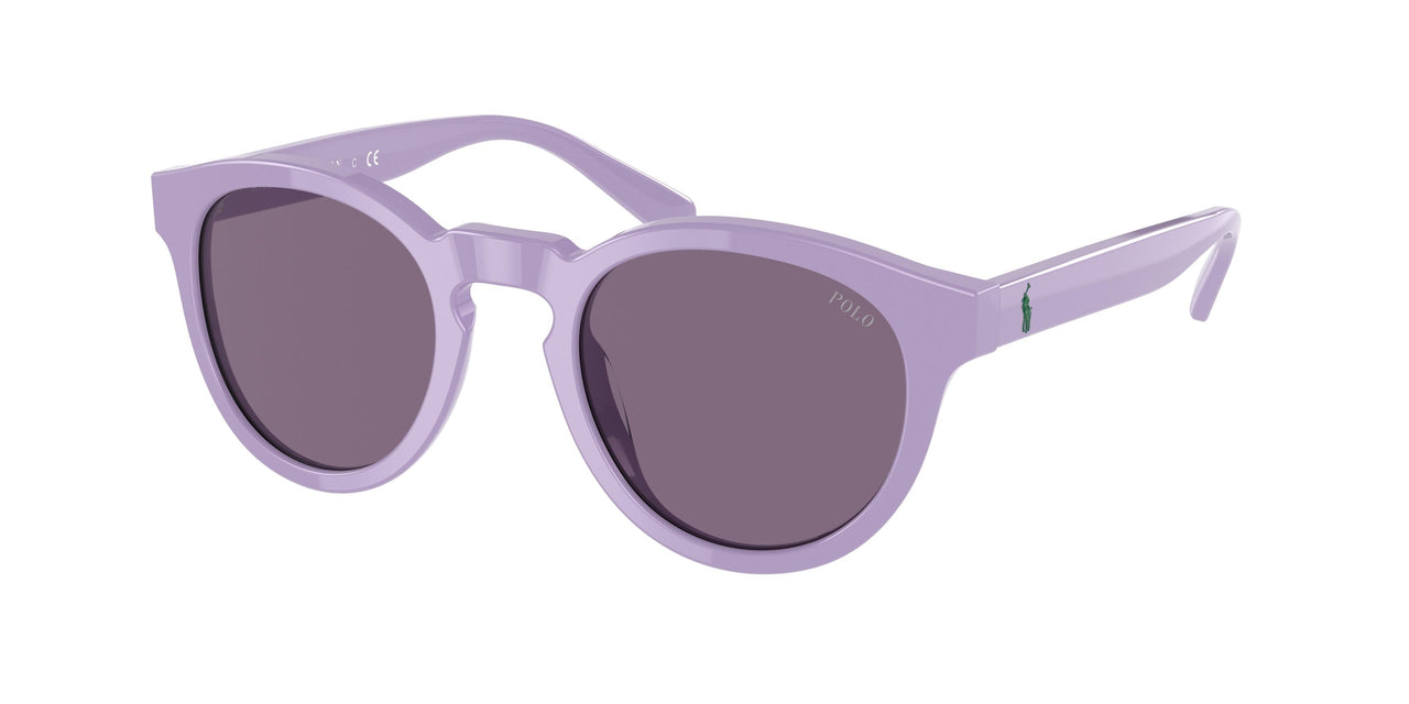 Polo 4184 Sunglasses