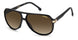 02M2-HA - BLACK GOLD - Brown Gradient