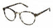 Kliik K-729 Eyeglasses