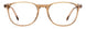 Carrera 1131 Eyeglasses