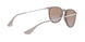 600068 - Brown - Brown Gradient
