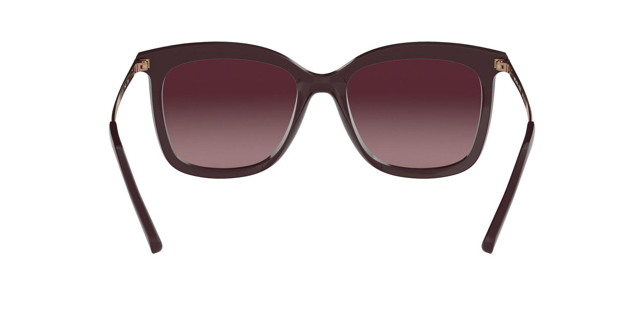 33448H - Cordovan Gradient