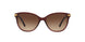 301413 - Bordeaux - Brown Gradient