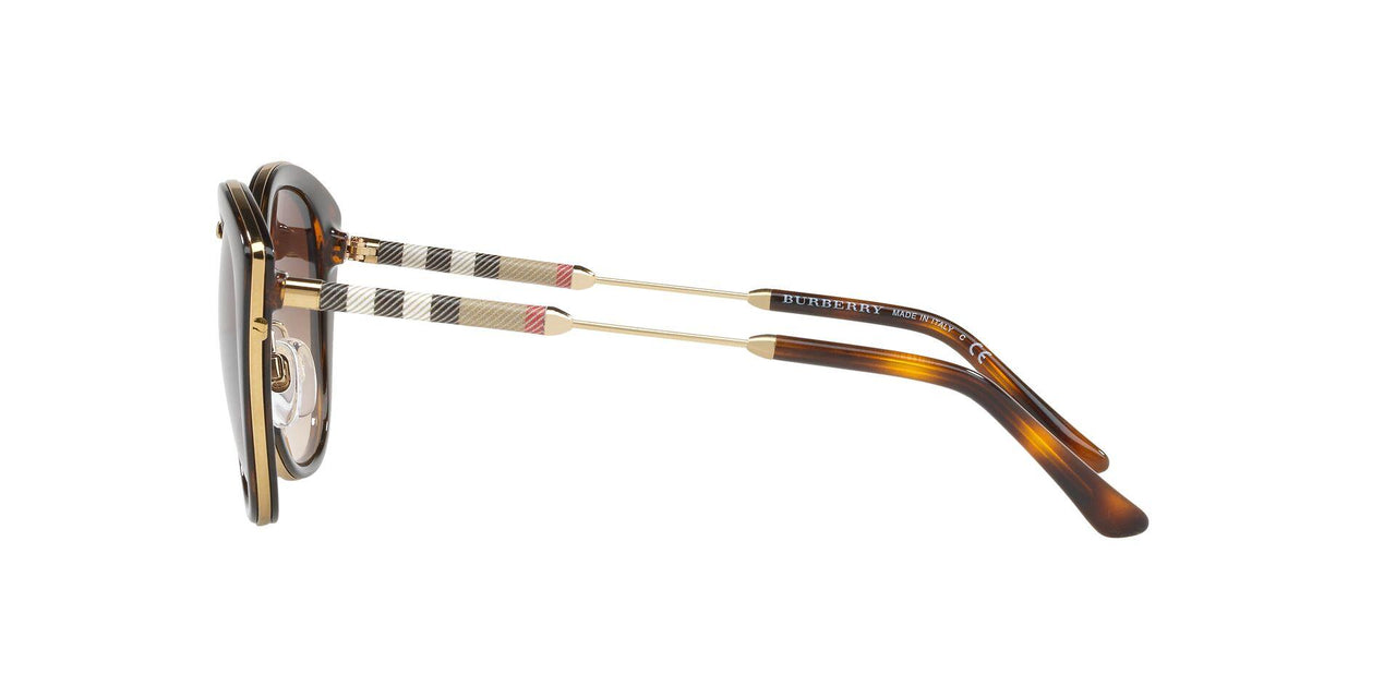 300213 - Havana - Brown Gradient