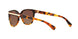 5438T5 - Havana - Brown Gradient Polar