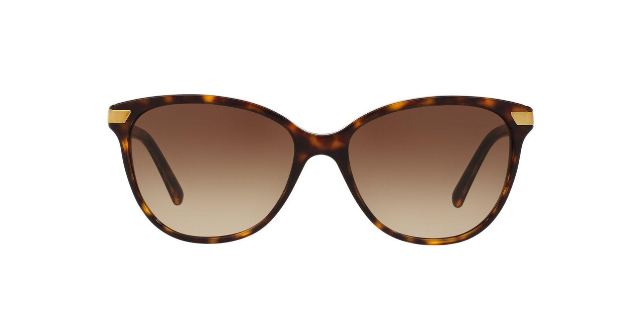 300213 - Havana - Brown Gradient