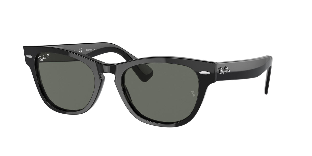 Ray-Ban Laramie 2201 Sunglasses