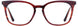 Cinzia CIN5123 Eyeglasses