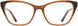 Cinzia CIN5149 Eyeglasses