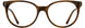 Cinzia CIN5152 Eyeglasses