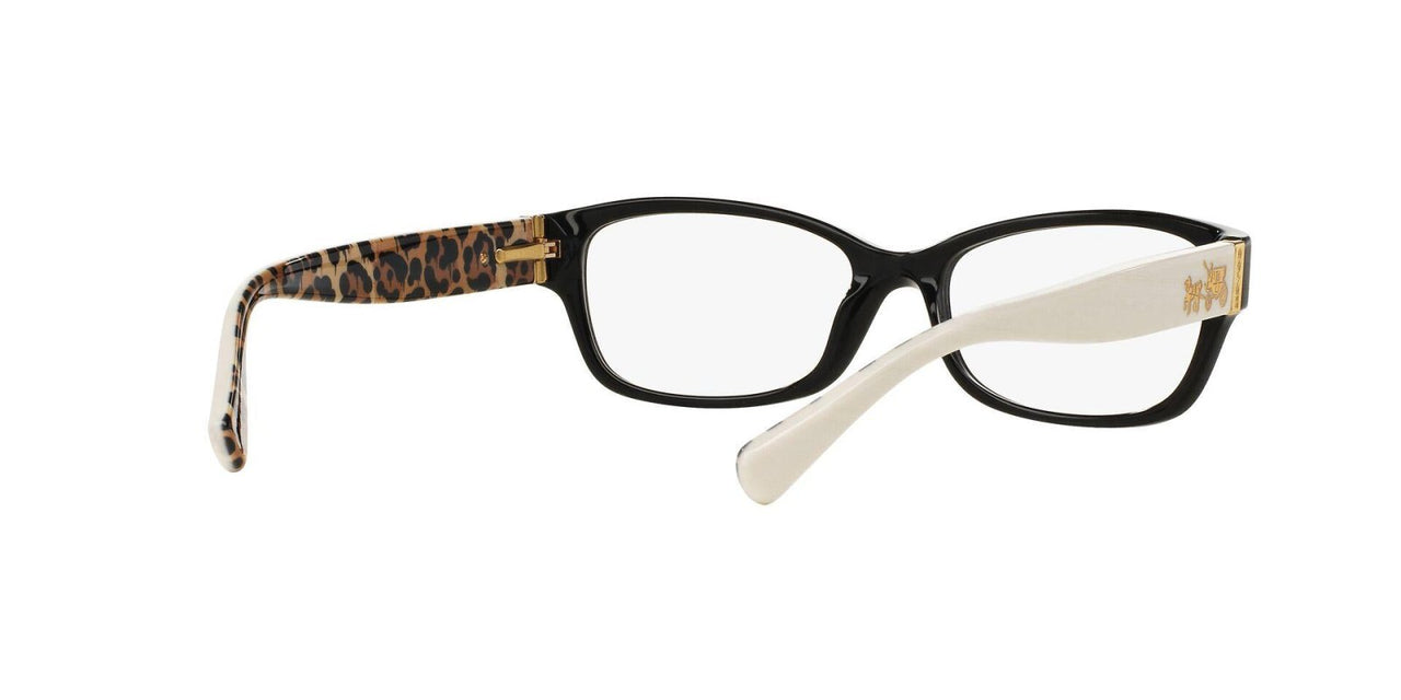 Coach 6078 Eyeglasses