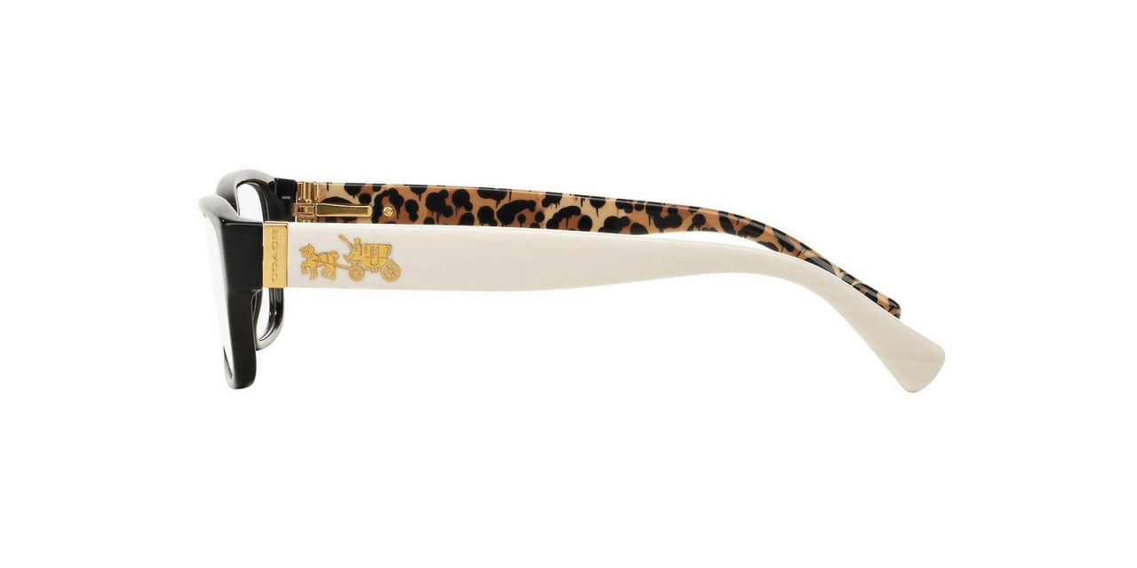Coach 6078 Eyeglasses