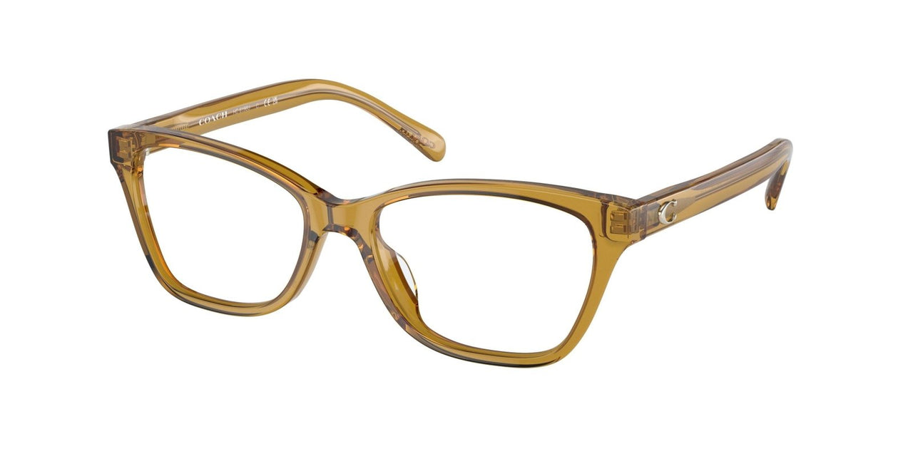 Coach 6196U Eyeglasses
