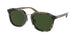 Coach Ch577 8366 Sunglasses