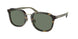Coach Ch577 8366 Sunglasses