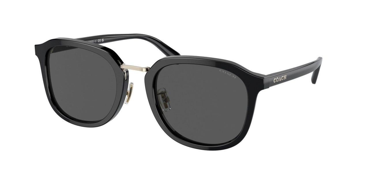 Coach Ch577 8366 Sunglasses