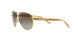101/T5 - Gold - Polar Brown Gradient