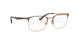 3001 - Pink Gold/Havana