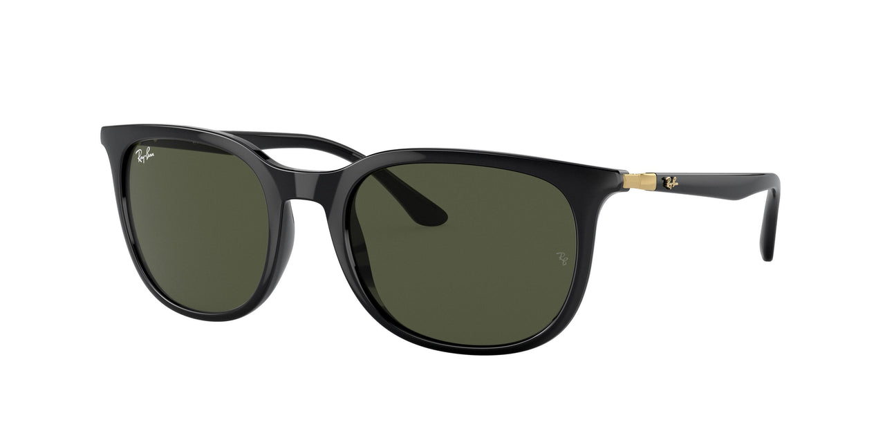 Ray-Ban 4386F Sunglasses