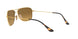 001/A3 - Gold - Brown Mirror Gold Grad Polar