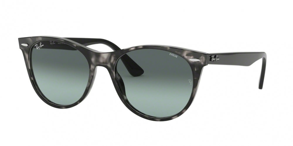 Ray-Ban Wayfarer Ii 2185 Sunglasses