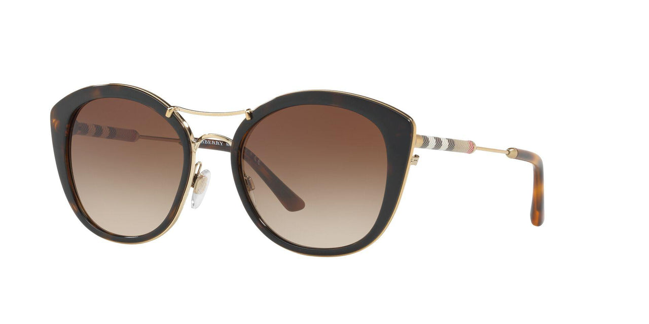 300213 - Havana - Brown Gradient