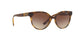 W65613 - Havana - Brown Gradient