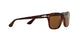 24/57 - Havana - Brown Polarized