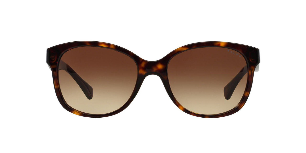 137813 - Havana - Brown Gradient