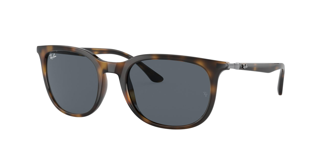 Ray-Ban 4386 Sunglasses