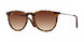 Ray-Ban Erika 4171 Sunglasses