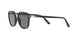 95/58 - Black - Green Polarized