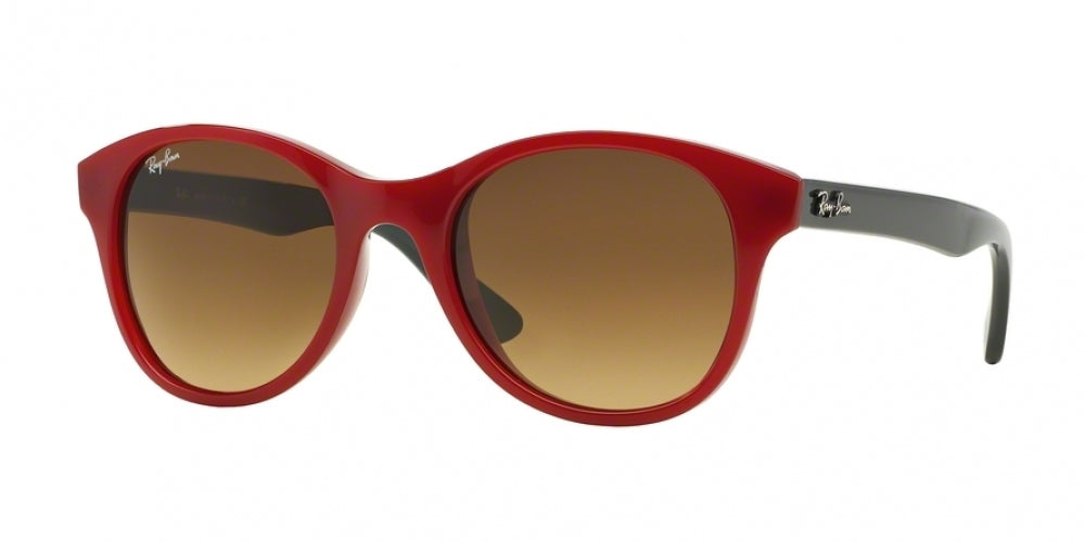 Ray-Ban 4203 Sunglasses