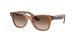 Ray-Ban Kids Wayfarer 0RJ9066S Sunglasses