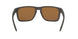 941706 - Brown - Prizm Tungsten Polarized