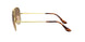 914751 - Gold - Clear Gradient Brown