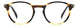 David Beckham Db1049 Eyeglasses