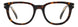 David Beckham DB7097 Eyeglasses