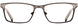 DB4K CHAMP Eyeglasses