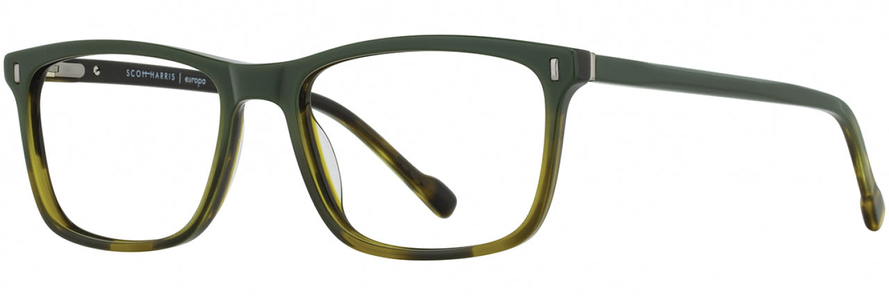 3 - Olive / Tortoise