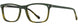 3 - Olive / Tortoise