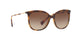 500313 - Havana - Gradient Brown