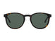 0086-QT - Dark Havana - Green Lens