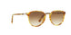 106151 - Havana - Clear Gradient Brown