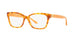 1725 - Amber Tortoise