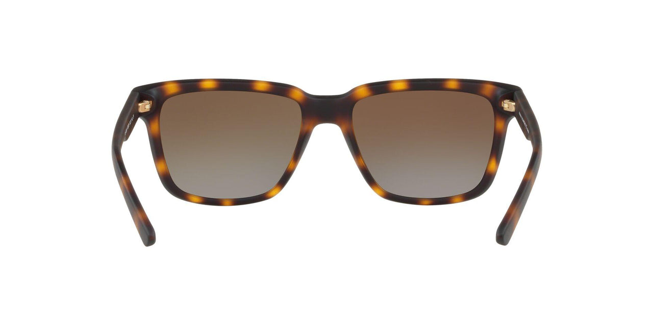 8029T5 - Havana - Polar Brown Gradient